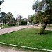 Municipality Park in Kuwait City city