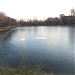 Нижний Красногвардейский (Студенецкий) пруд в городе Москва