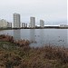 Южнобутовский пруд в городе Москва