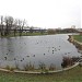 Верхний Черневский пруд в городе Москва