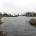 Верхний Черневский пруд в городе Москва