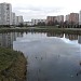 Нижний Гавриковский пруд (северная часть) (ru) in Moscow city