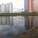 Верхний Гавриковский пруд в городе Москва