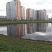 Верхний Гавриковский пруд в городе Москва