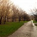 Сквер в городе Москва