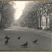 Преображенская площадь в городе Москва
