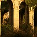 Ruines de l'Orangerie du Château Gaillard (fr) in Maisons-Alfort city