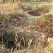 Pillbox 289 in Sofiivska Borschahivka city