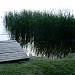 Free beach in Balatonboglár city