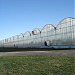 Hazel Farms in Municipality of Leamington, Ontario city