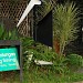 Artists' Haven in Manila city