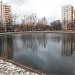 Кошачий (Федеративный) пруд в городе Москва