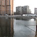 Кошачий (Федеративный) пруд в городе Москва