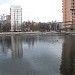Кошачий (Федеративный) пруд в городе Москва
