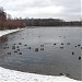 Юго-Западный Терлецкий пруд в городе Москва