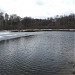 Западный Терлецкий (Утиный) пруд в городе Москва
