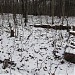 Остатки кирпичного фундамента в городе Москва
