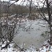 Заболоченный пруд в городе Москва
