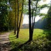 Stadtpark Chemnitz in Stadt Chemnitz