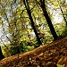 Stadtpark Chemnitz in Stadt Chemnitz