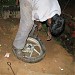 Nalini Kanth in Hyderabad city