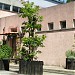 Clube da Floresta - O PÁSSARO SELVAGEM na Gondomar city