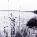 Озеро Люкосаргское