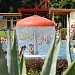 Albert-Schwarz-Bad (de) yra Heidenau mieste