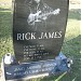 Rick James' Grave in Buffalo, New York city