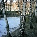 Пруд в городе Москва