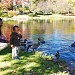 Fulton Park in Waterbury, Connecticut city