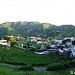 Sirikot Adda