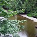 Wooden Road Bridge