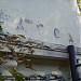 Ворота ВДНХ со стороны Главного ботанического сада в городе Москва