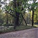 Водный лабиринт в городе Гатчина