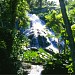 Shaw Park in Ocho Rios city