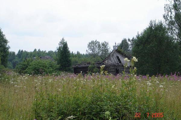 Деревня воскресенское антроповского района фото