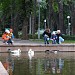 Pond in the park in Almaty city