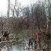 Участок р. Нищенки перед впадением в коллектор в городе Москва