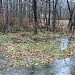 Участок р. Нищенки перед впадением в коллектор в городе Москва