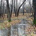 Участок р. Нищенки перед впадением в коллектор в городе Москва