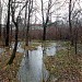 Участок р. Нищенки перед впадением в коллектор в городе Москва