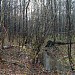 Река Нищенка (участок от ал. Пролетарского входа до Первомайской аллеи) в городе Москва