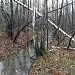 Река Нищенка (участок от ал. Пролетарского входа до Первомайской аллеи) в городе Москва
