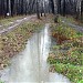 Пересечение притока Нищенки с Елагинским проспектом в городе Москва