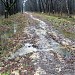 Пересечение притока Нищенки с Елагинским проспектом в городе Москва