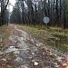 Пересечение притока Нищенки с Елагинским проспектом в городе Москва