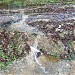 Пересечение притока Нищенки с Елагинским проспектом в городе Москва