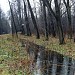 Пересечение притока Нищенки с Елагинским проспектом в городе Москва