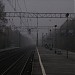 Железнодорожная платформа Строитель в городе Мытищи